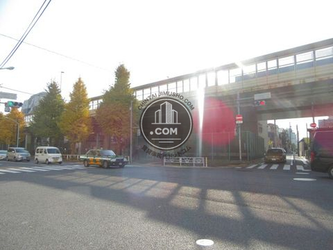 大通り