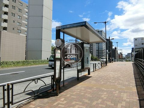 大通り