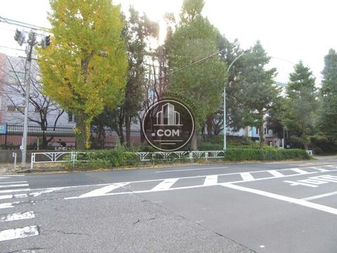 大通り