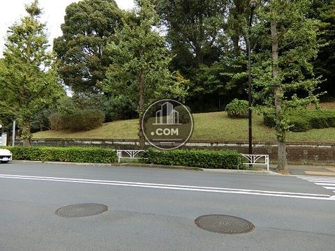 大通り