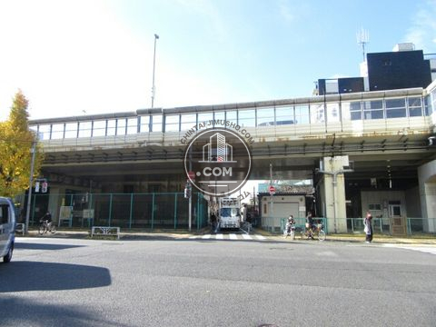 大通り