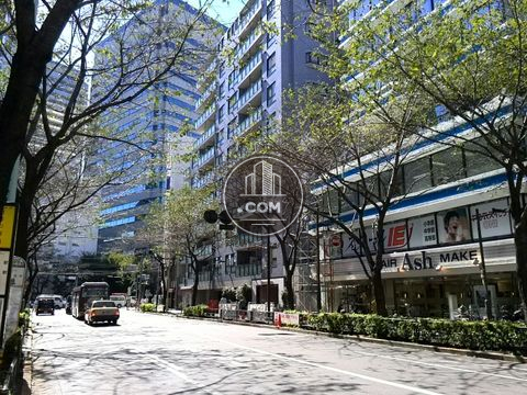 大通り