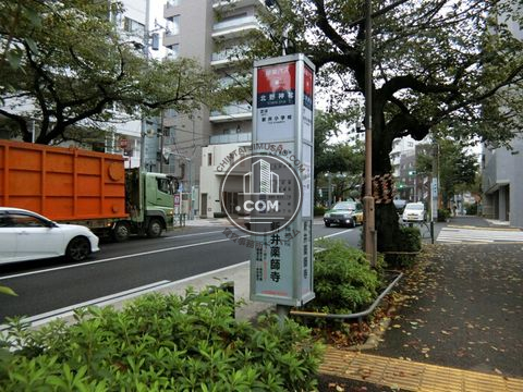 大通り