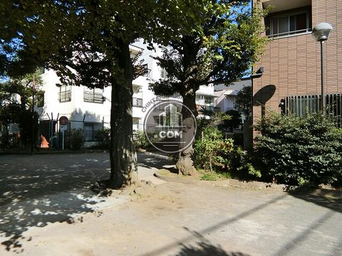 裏路地
