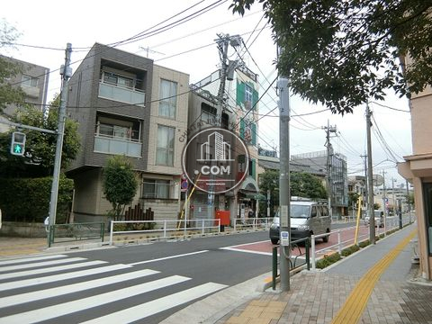大通り