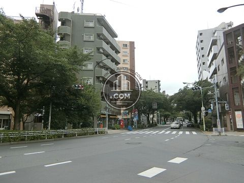 大通り