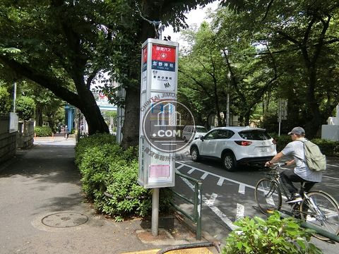 大通り