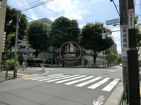 大通り