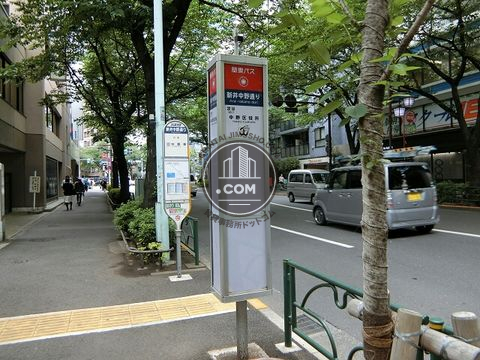 大通り