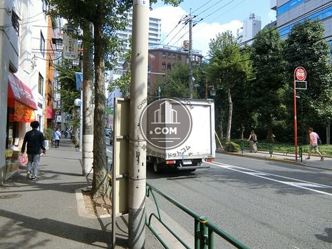 大通り
