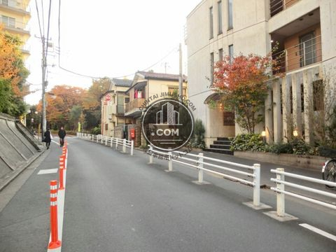 裏路地