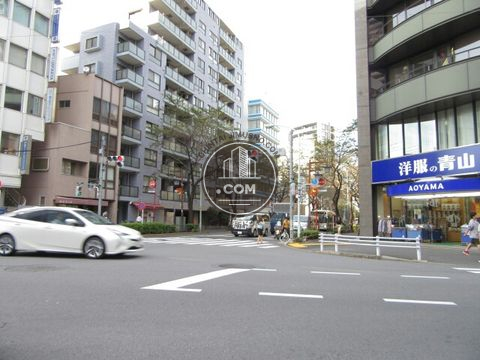 大通り