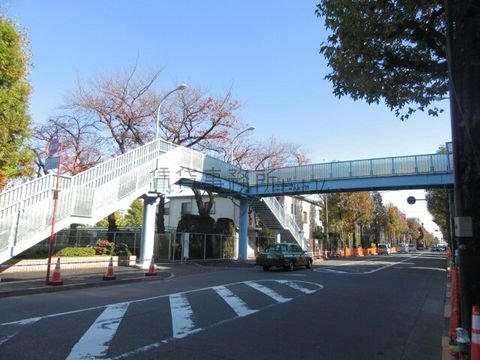中野区上鷲宮五丁目歩道橋