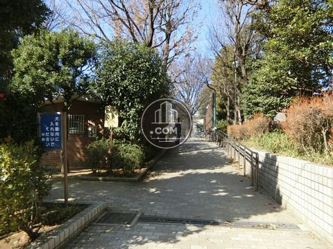 裏路地