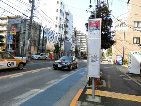 バス停 (白桜小学校入口)