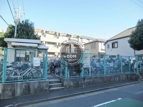 大通り