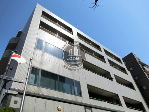 大通り