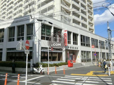 大通り