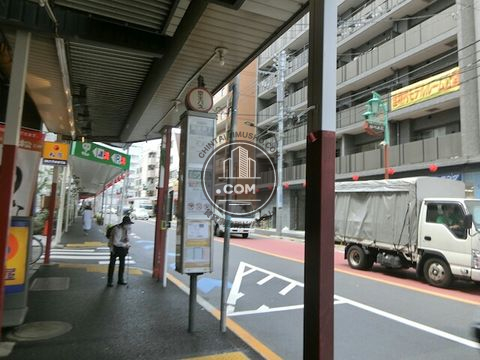 大通り
