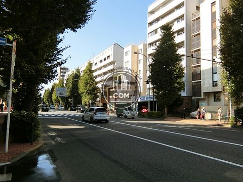 大通り