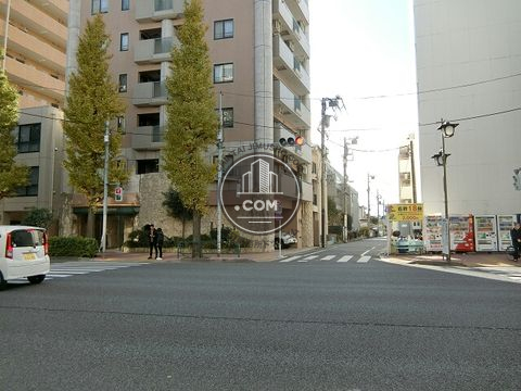 大通り