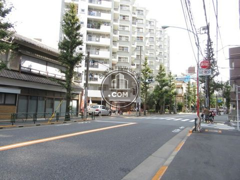 大通り