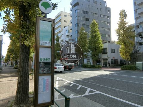 大通り