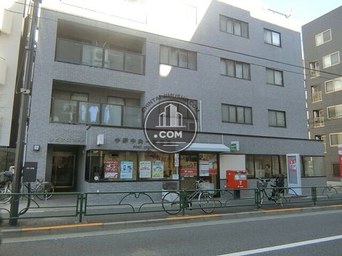大通り