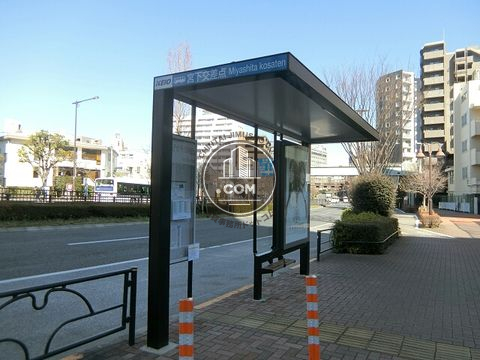 大通り