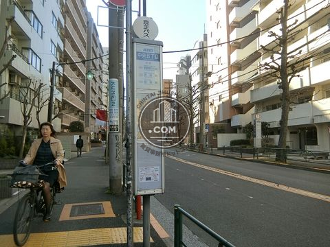 大通り