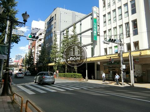 大通り