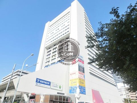 大通り