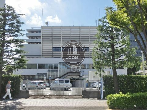 大通り