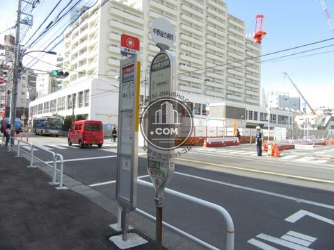 大通り