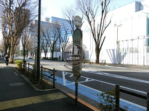 大通り