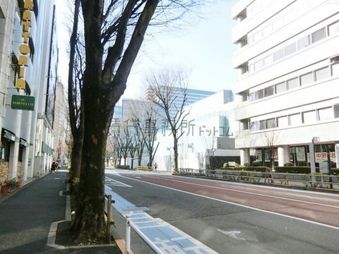 けやき通り
