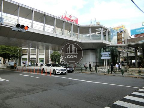 大通り