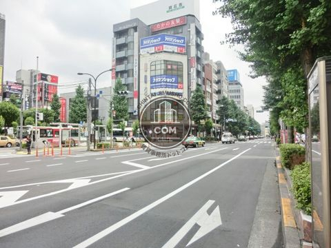 大通り