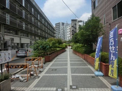 中野区中央4丁目付近裏路地　中野五差路方面　大久保通りと平行して通っています。
