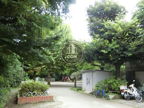 裏路地