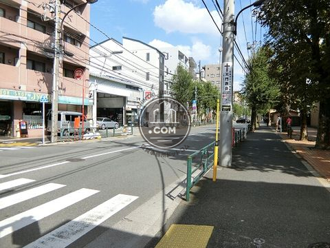 大通り
