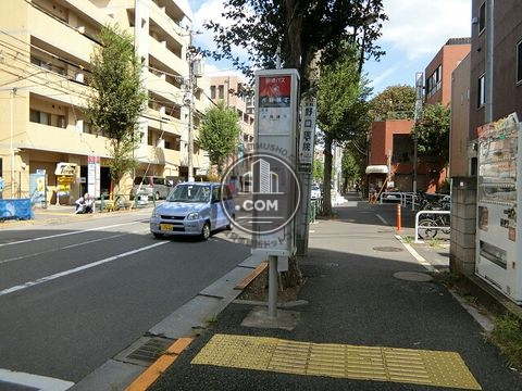大通り
