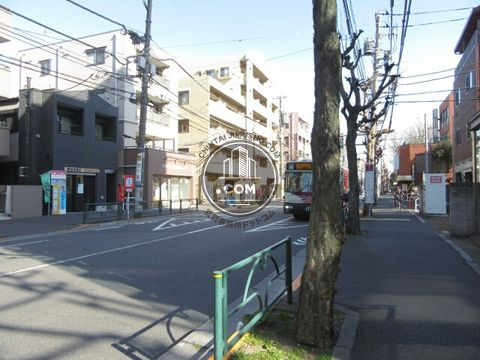 大通り