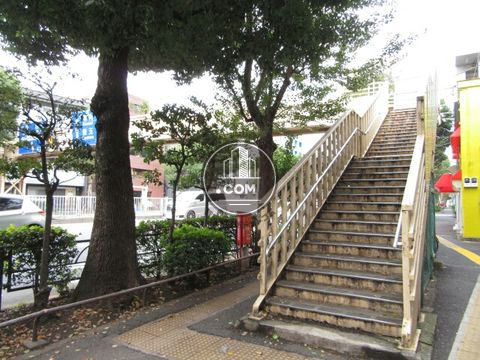 大通り