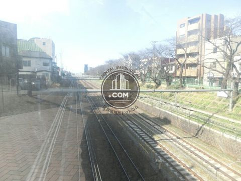 大通り