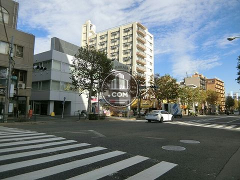 大通り
