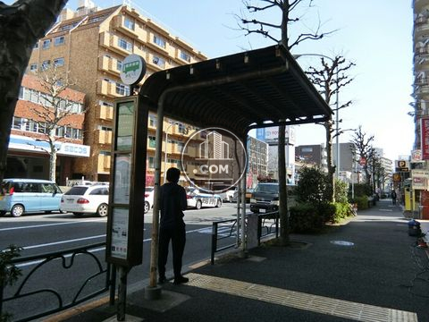 大通り