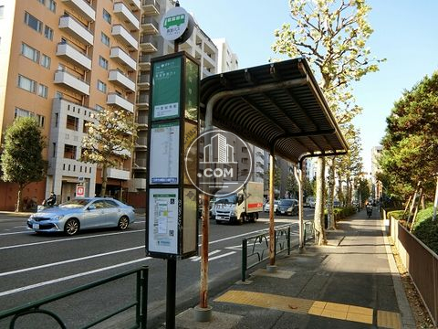 大通り