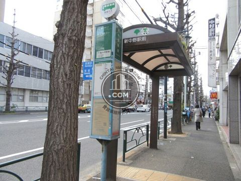 大通り