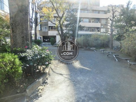 大通り